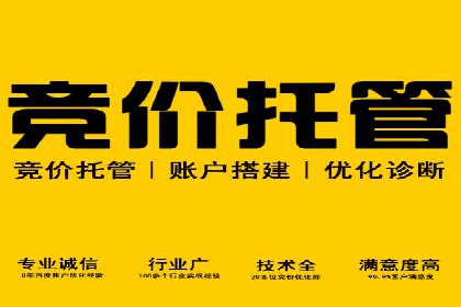 SEM竞价优化策略：成功案例解析